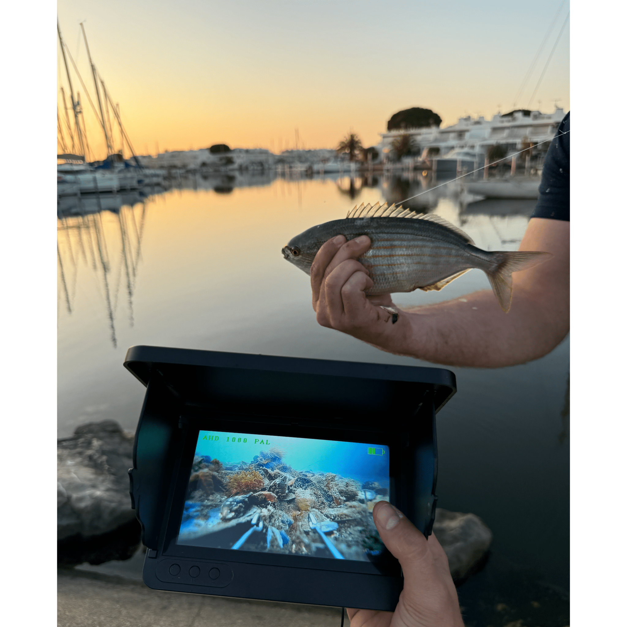 AQUACAM | Caméra de pêche - Sealia.fr