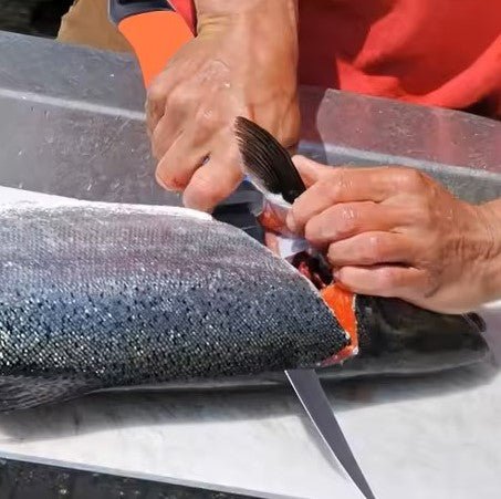 KIT'malin - Cuisine ta pêche - Sealia.fr