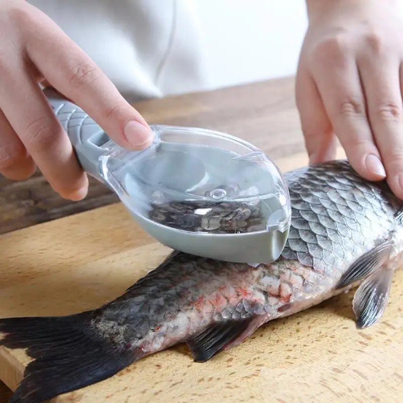KIT'malin - Cuisine ta pêche - Sealia.fr